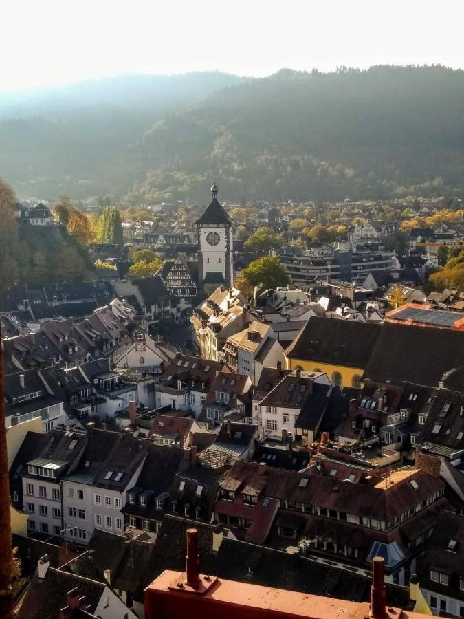 Luxus Penthouse Whiterussian Leilighet Freiburg im Breisgau Eksteriør bilde
